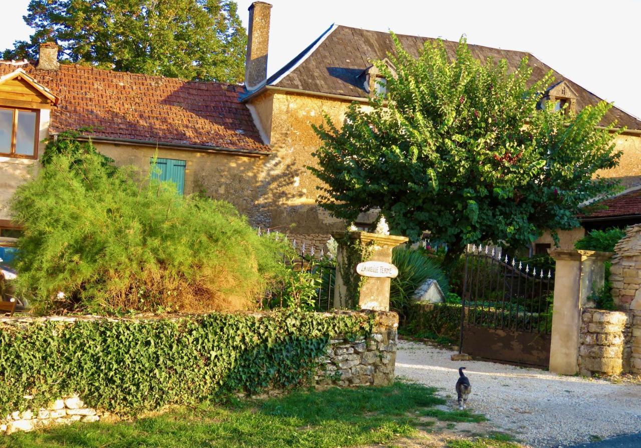 La Vieille Ferme: Superbe Complexe De 3 Gites En Pierre Avec Piscine Au Coeur Du Perigord Noir Saint-Genies Exterior photo
